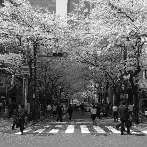 Tokyo scenery
